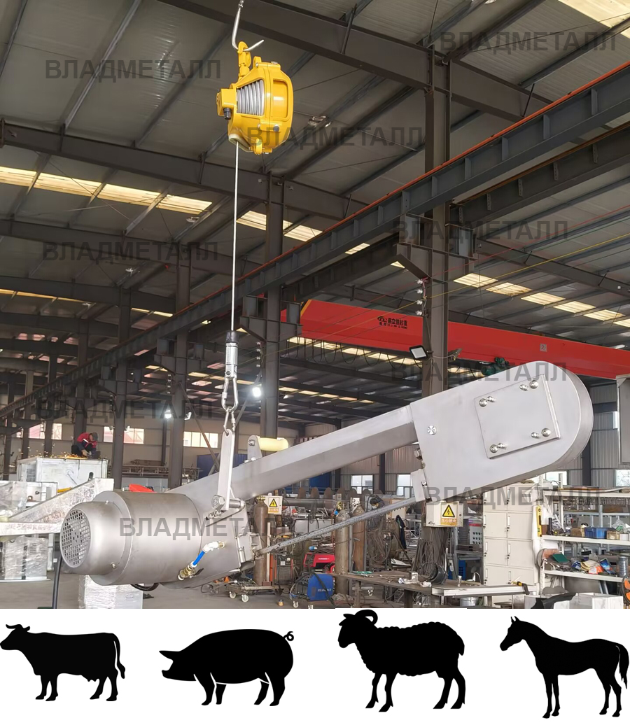 ��������� ���� ��� �������� ���������� ���